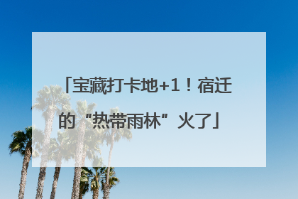 宝藏打卡地+1！宿迁的“热带雨林”火了