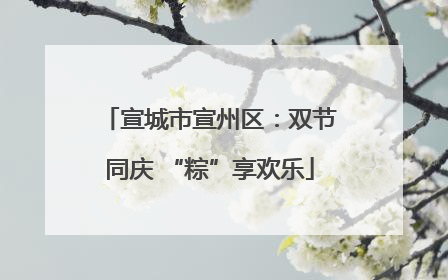 宣城市宣州区：双节同庆 “粽”享欢乐