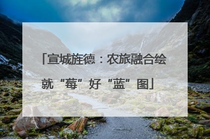 宣城旌德：农旅融合绘就“莓”好“蓝”图