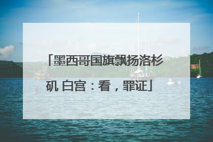 墨西哥国旗飘扬洛杉矶 白宫：看，罪证