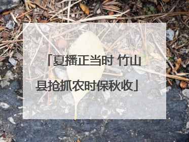夏播正当时 竹山县抢抓农时保秋收