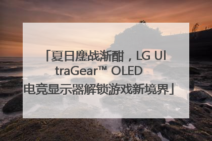 夏日鏖战渐酣，LG UltraGear™ OLED电竞显示器解锁游戏新境界