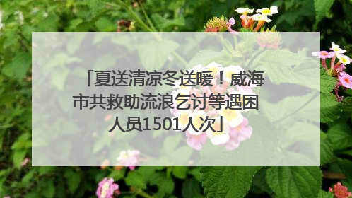 夏送清凉冬送暖！威海市共救助流浪乞讨等遇困人员1501人次