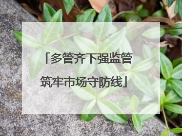 多管齐下强监管 筑牢市场守防线