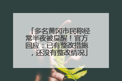 多名黄冈市民称经常半夜被臭醒！官方回应：已有整改措施，还没有整改情况