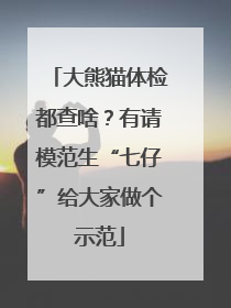 大熊猫体检都查啥？有请模范生“七仔”给大家做个示范