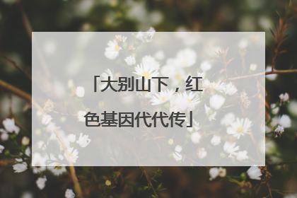 大别山下，红色基因代代传
