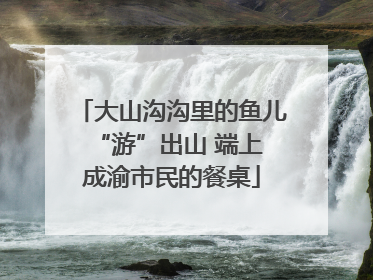 大山沟沟里的鱼儿 “游”出山 端上成渝市民的餐桌