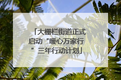 大栅栏街道正式启动“暖心万家行”三年行动计划