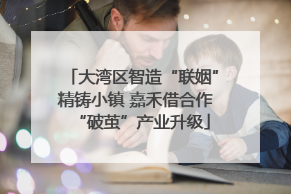 大湾区智造“联姻”精铸小镇 嘉禾借合作“破茧”产业升级
