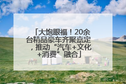大饱眼福！20余台精品豪车齐聚嘉定，推动“汽车+文化+消费”融合