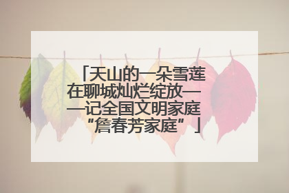 天山的一朵雪莲在聊城灿烂绽放——记全国文明家庭“詹春芳家庭”