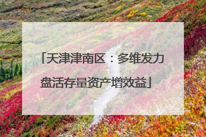 天津津南区：多维发力盘活存量资产增效益