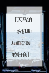 天马镇：农机助力油菜颗粒归仓