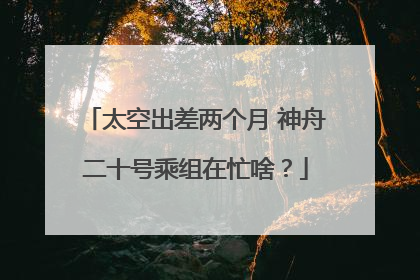 太空出差两个月 神舟二十号乘组在忙啥？