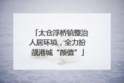 太仓浮桥镇整治人居环境，全力扮靓港城“颜值”
