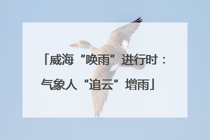威海“唤雨”进行时：气象人“追云”增雨