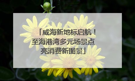 威海新地标启航！至海港湾多元场景点亮消费新图景