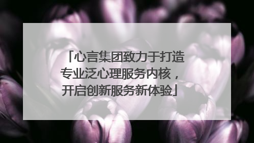 心言集团致力于打造专业泛心理服务内核，开启创新服务新体验