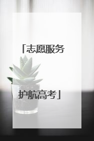 志愿服务 护航高考