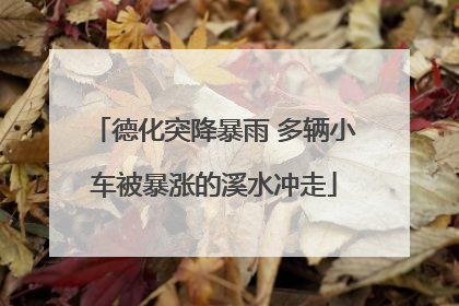 德化突降暴雨 多辆小车被暴涨的溪水冲走