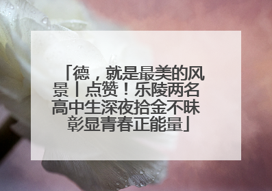 德，就是最美的风景丨点赞！乐陵两名高中生深夜拾金不昧 彰显青春正能量
