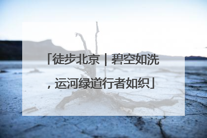 徒步北京｜碧空如洗，运河绿道行者如织