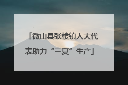 微山县张楼镇人大代表助力“三夏”生产