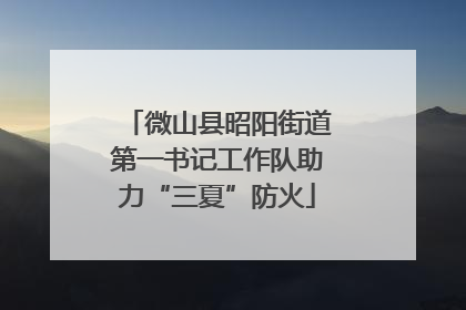 微山县昭阳街道第一书记工作队助力“三夏”防火