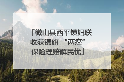 微山县西平镇妇联收获锦旗 “两癌”保险理赔解民忧