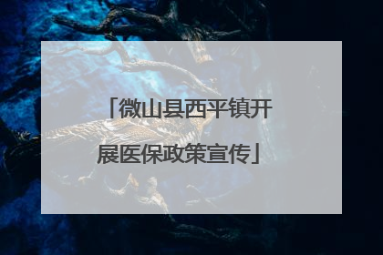 微山县西平镇开展医保政策宣传