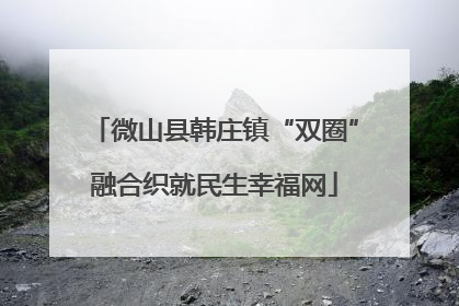 微山县韩庄镇“双圈”融合织就民生幸福网