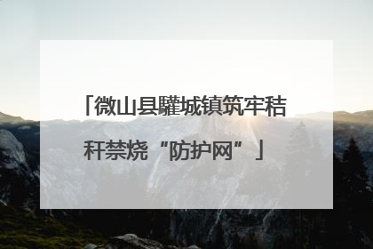 微山县驩城镇筑牢秸秆禁烧“防护网”