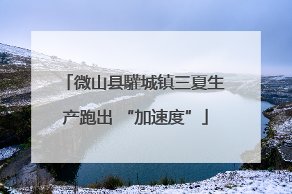 微山县驩城镇三夏生产跑出 “加速度”