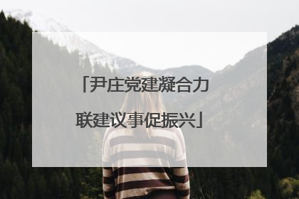 尹庄党建凝合力 联建议事促振兴