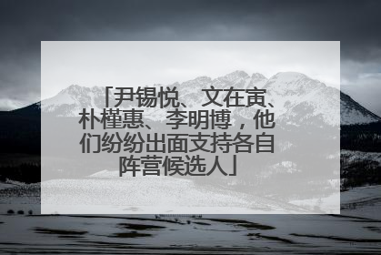 尹锡悦、文在寅、朴槿惠、李明博，他们纷纷出面支持各自阵营候选人