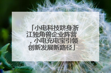 小电科技跻身浙江独角兽企业阵营，小电充电宝引领创新发展新路径