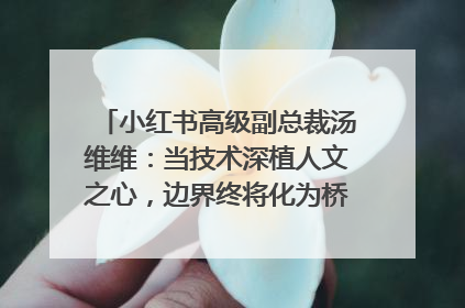 小红书高级副总裁汤维维：当技术深植人文之心，边界终将化为桥梁｜聚焦2025文化强国建设高峰论坛