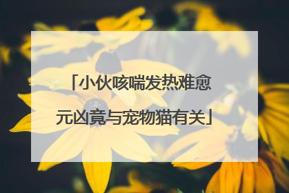 小伙咳喘发热难愈 元凶竟与宠物猫有关