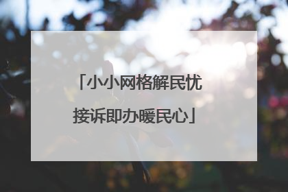 小小网格解民忧 接诉即办暖民心