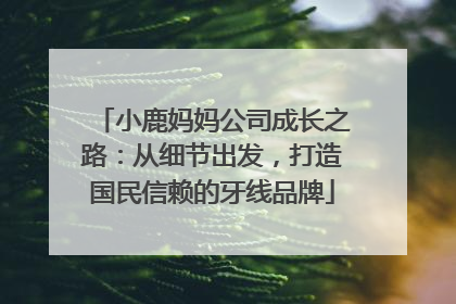 小鹿妈妈公司成长之路：从细节出发，打造国民信赖的牙线品牌