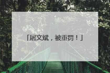 屠文斌，被重罚！