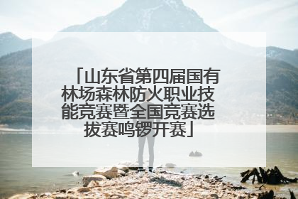 山东省第四届国有林场森林防火职业技能竞赛暨全国竞赛选拔赛鸣锣开赛