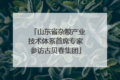 山东省杂粮产业技术体系首席专家参访古贝春集团