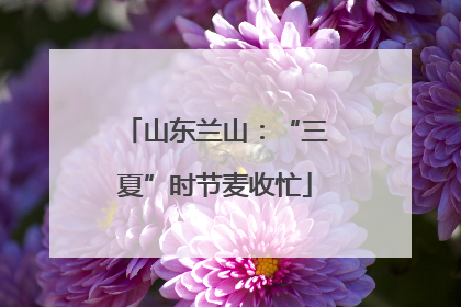 山东兰山：“三夏”时节麦收忙