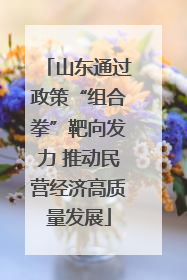 山东通过政策“组合拳”靶向发力 推动民营经济高质量发展