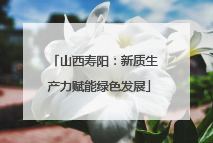 山西寿阳：新质生产力赋能绿色发展