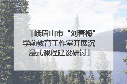 峨眉山市“刘春梅”学前教育工作室开展沉浸式课程建设研讨