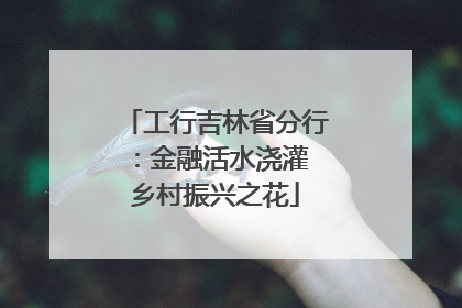 工行吉林省分行：金融活水浇灌 乡村振兴之花