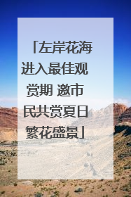 左岸花海进入最佳观赏期 邀市民共赏夏日繁花盛景
